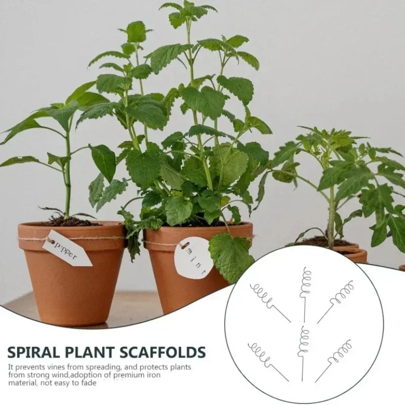 Bonsai Garden Plants - Estaca de Suporte para Plantas Trepadeiras,