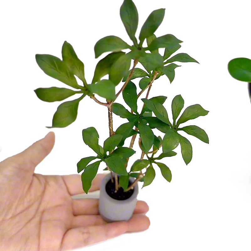 Bonsai Garden Plants - Dollhouse Miniature Modelo de Plantas em