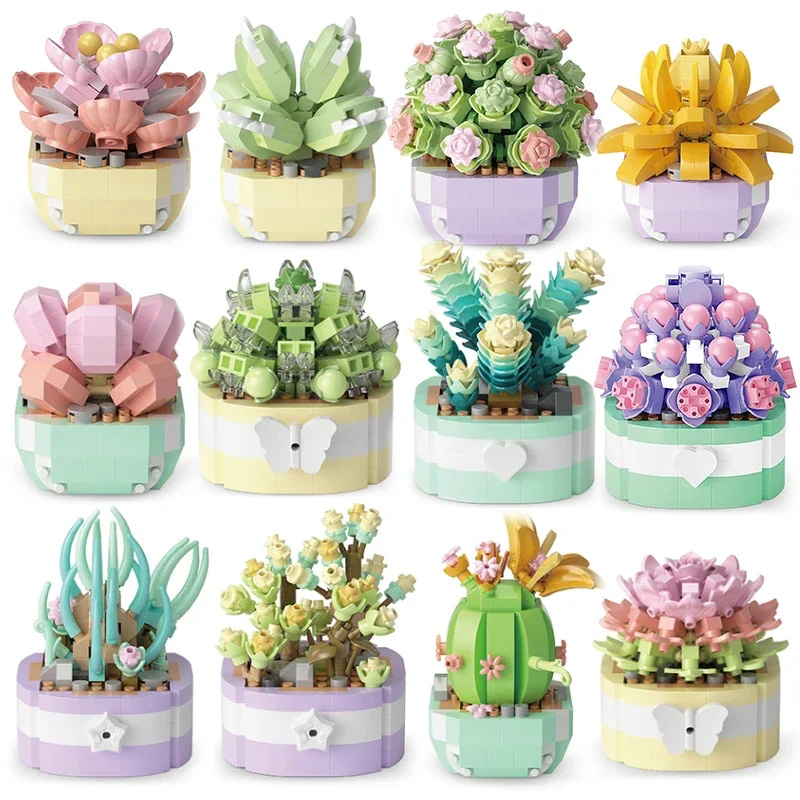 Bonsai Garden Plants - Flower Suculents Building Blocks, Cactus, Gypsophila,
