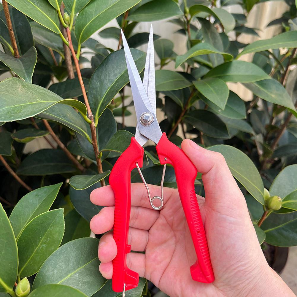 Bonsai Garden Plants - Tesoura de Poda Profissional para Jardim,