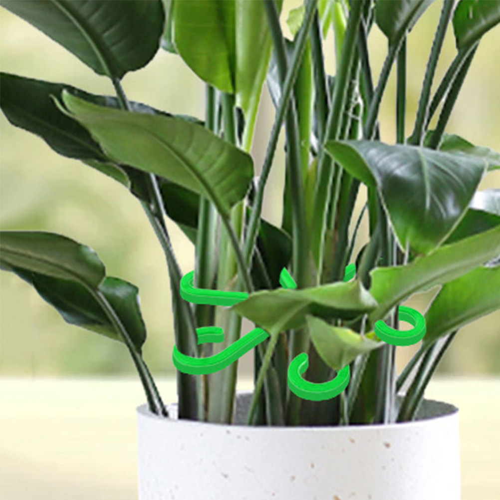 Bonsai Garden Plants - 12 Peças de Suportes Plásticos para
