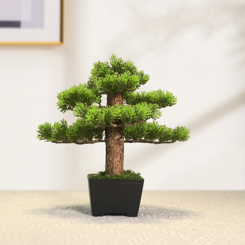 Bonsai de plantas artificiais, - Bonsai Garden Sushi avaliação e preço