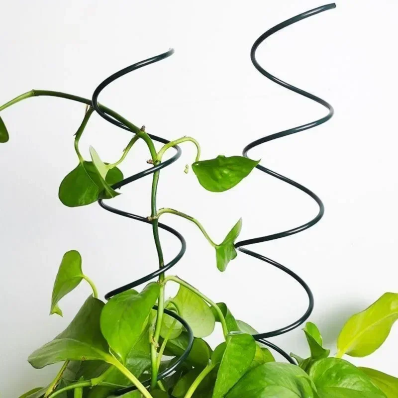 Estaca de Suporte para Plantas - Bonsai Garden Plants avaliação e preço