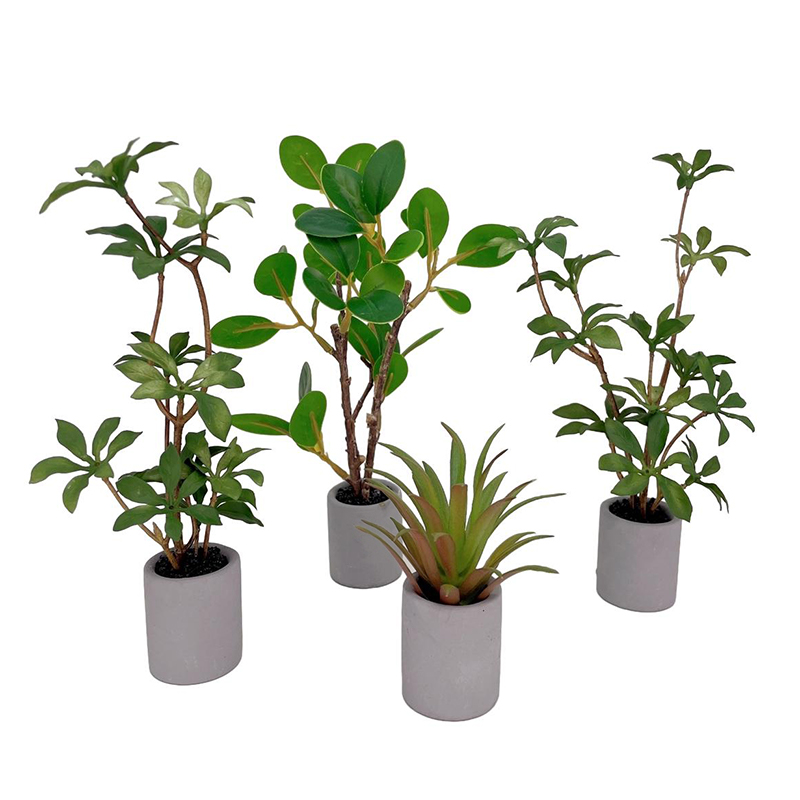 Dollhouse Miniature Modelo de  - Bonsai Garden Plants avaliação e preço