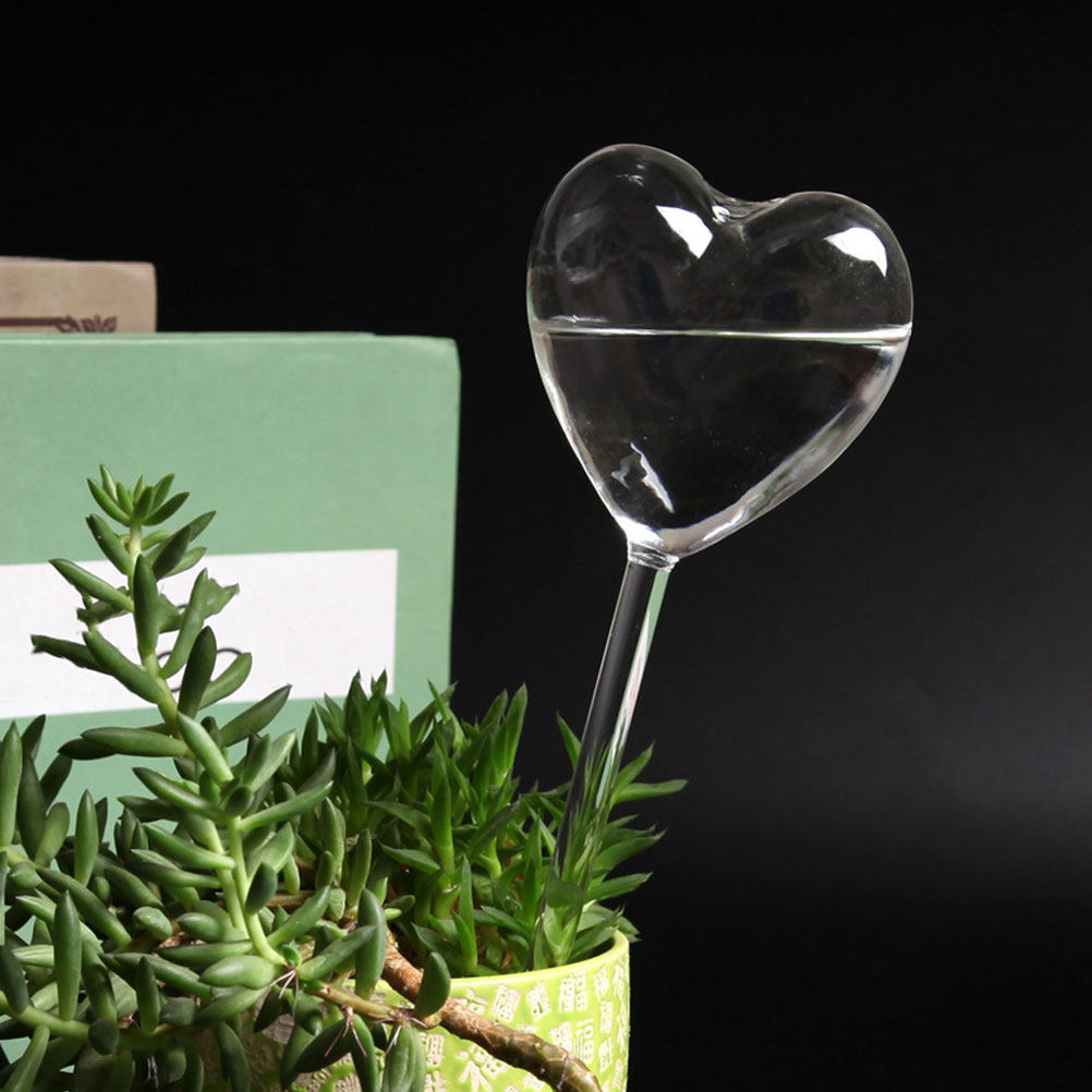 Conjunto de 3 Globos de Vidro  - Bonsai Garden Plants avaliação e preço