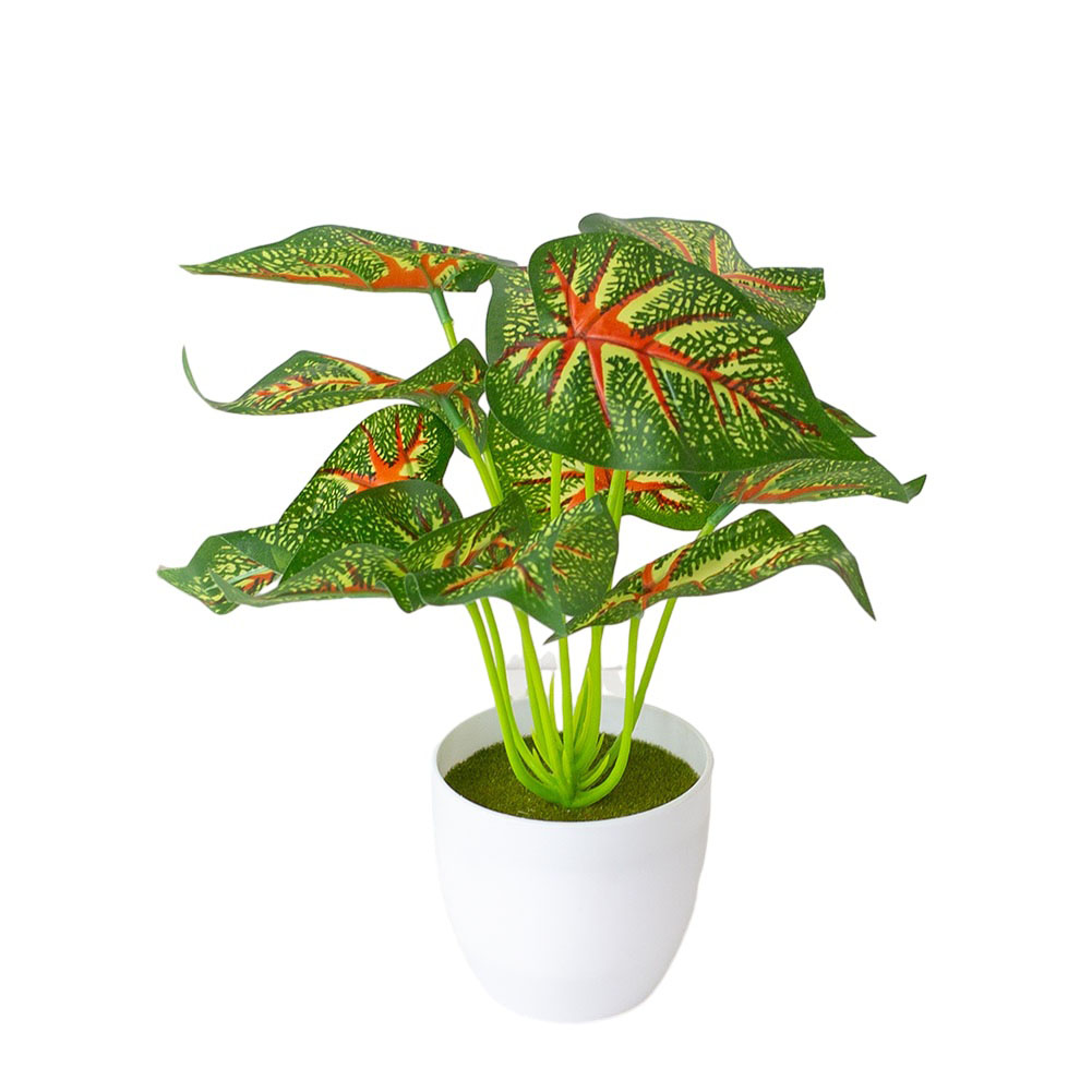 Planta Artificial Realista em  - Bonsai Garden Landscape Design avaliação e preço
