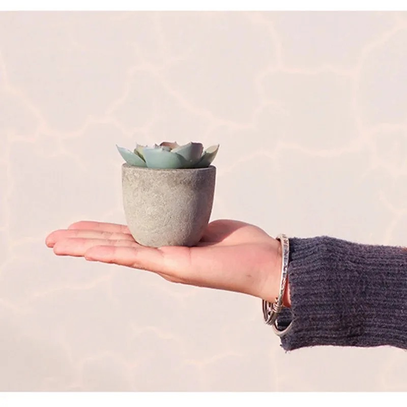 Mini plantas artificiais de al - Bonsai Garden Sushi avaliação e preço