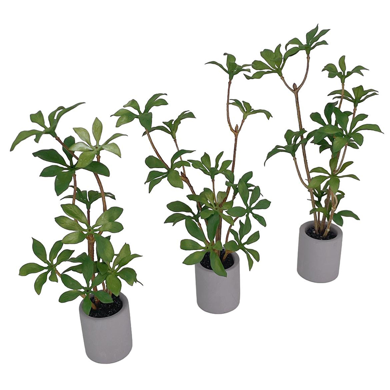 1:6 casa de bonecas em miniatu - Bonsai Garden Ornaments avaliação e preço