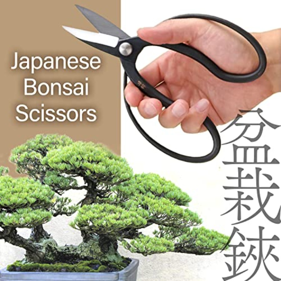 Tesoura Japonesa Suiryu para B - Bonsai Garden Japan avaliação e preço