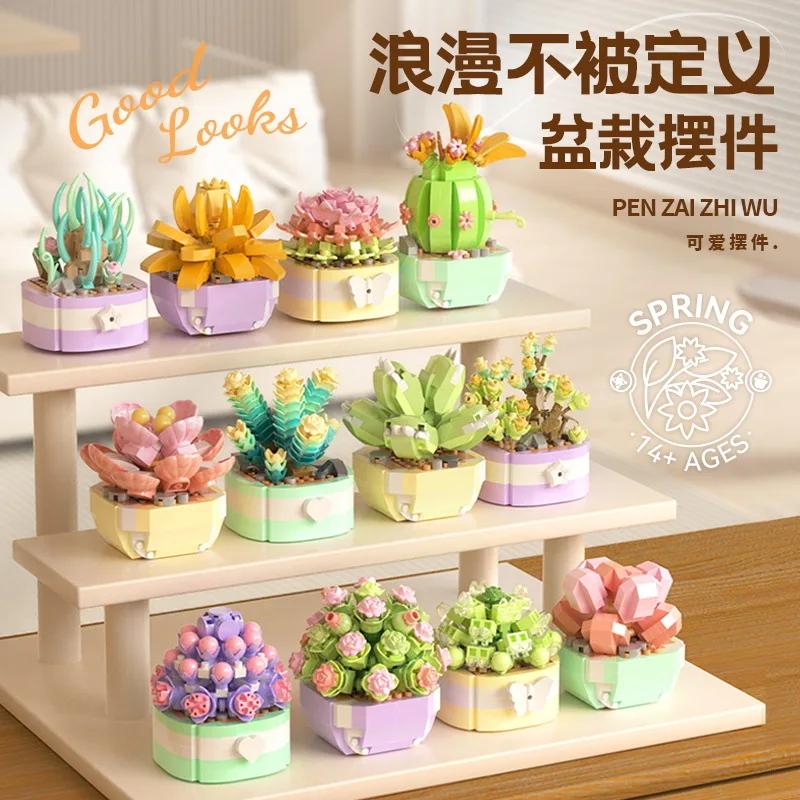 Flower Suculents Building Bloc - Bonsai Garden Plants avaliação e preço