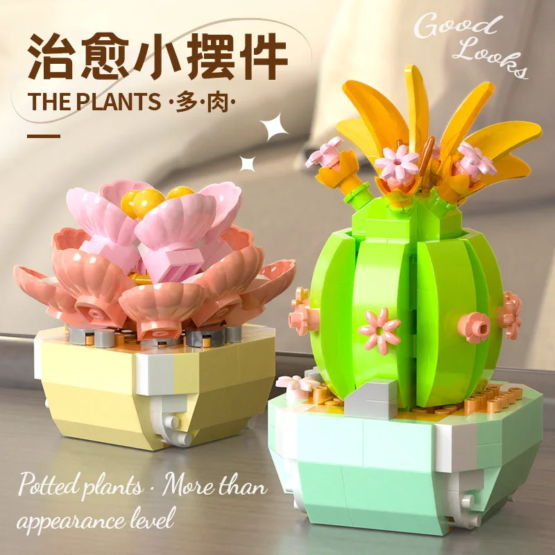 Flower Suculents Building Bloc - Bonsai Garden Plants avaliação e preço