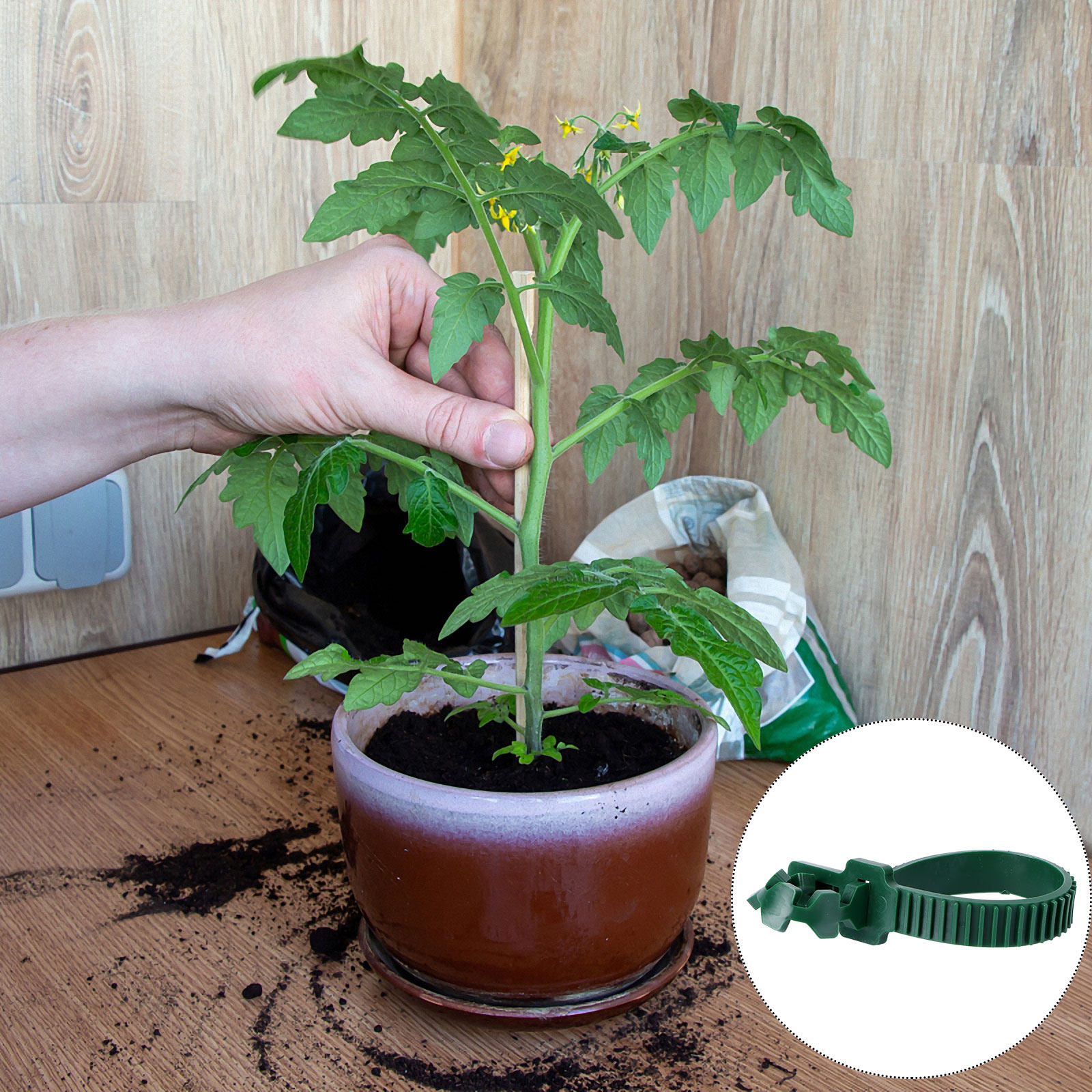 20 Peças de Clipe de Fixação p - Bonsai Garden Plants avaliação e preço
