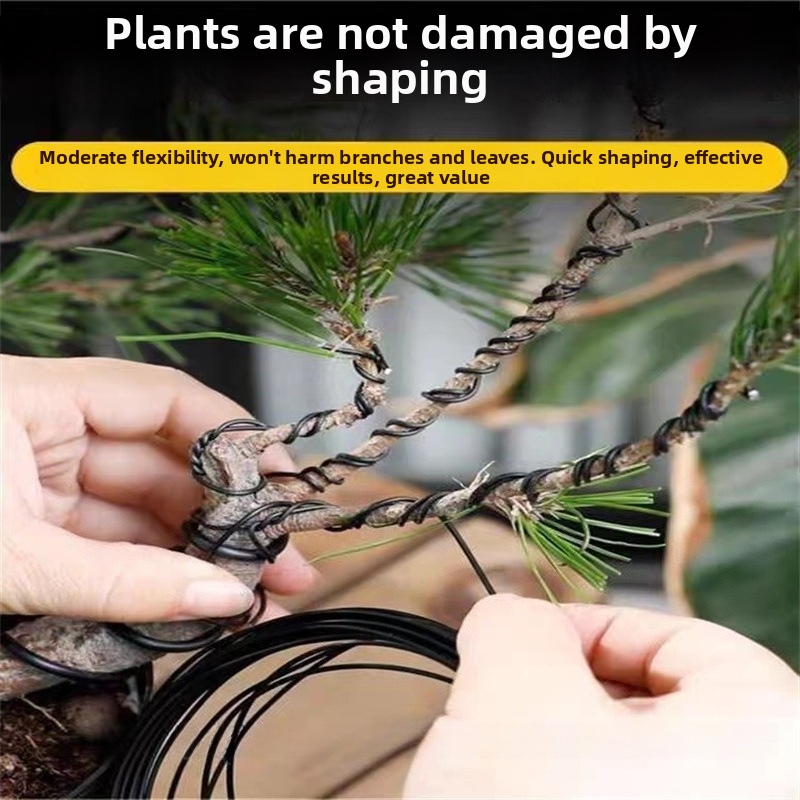 Fios de alumínio para bonsai d - Bonsai Garden Plants avaliação e preço