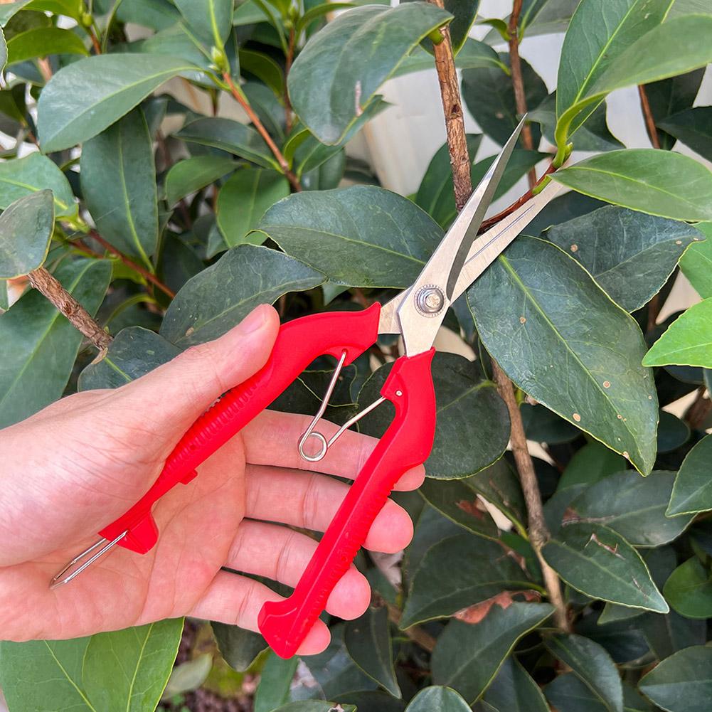 Tesoura de Poda Profissional p - Bonsai Garden Plants avaliação e preço