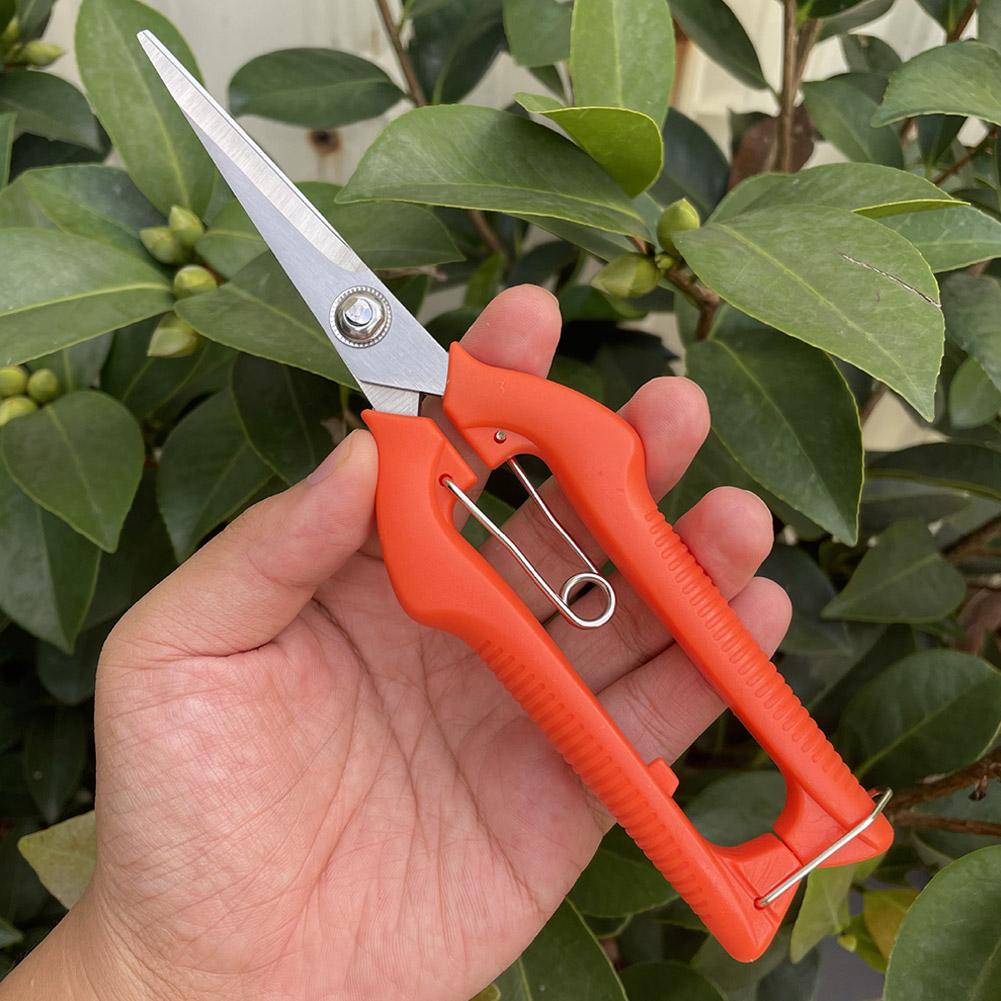 Tesoura de Poda Profissional p - Bonsai Garden Plants avaliação e preço