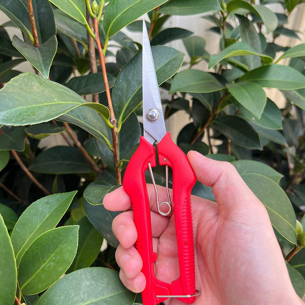 Tesoura de Poda Profissional p - Bonsai Garden Plants avaliação e preço