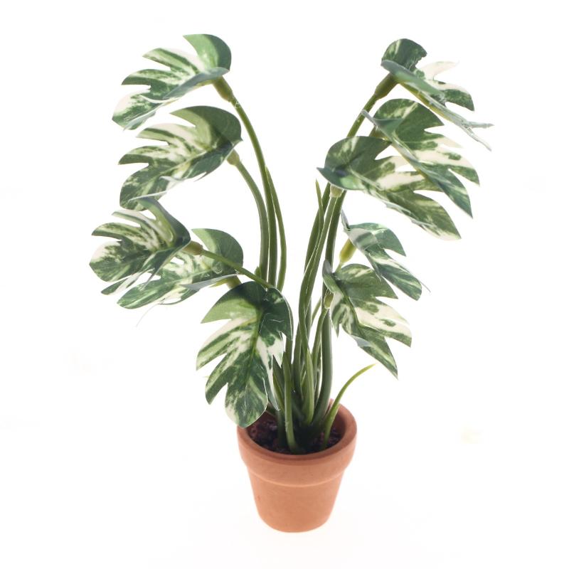 Novo. 1PC Planta Verde Monster - Bonsai Garden Ornaments avaliação e preço