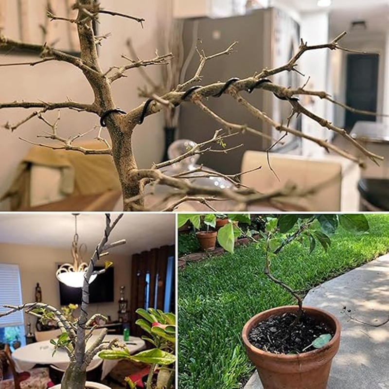 Fio de Alumínio Preto de 1mm p - Bonsai Wire Aluminum avaliação e preço