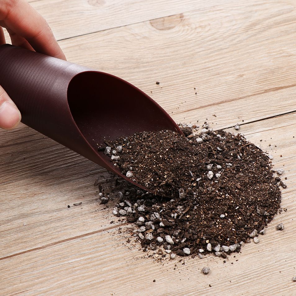 1pc plástico solo pá copo para - Bonsai Garden Plants avaliação e preço